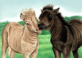 Miniature Horse, Equine Art - First Kiss